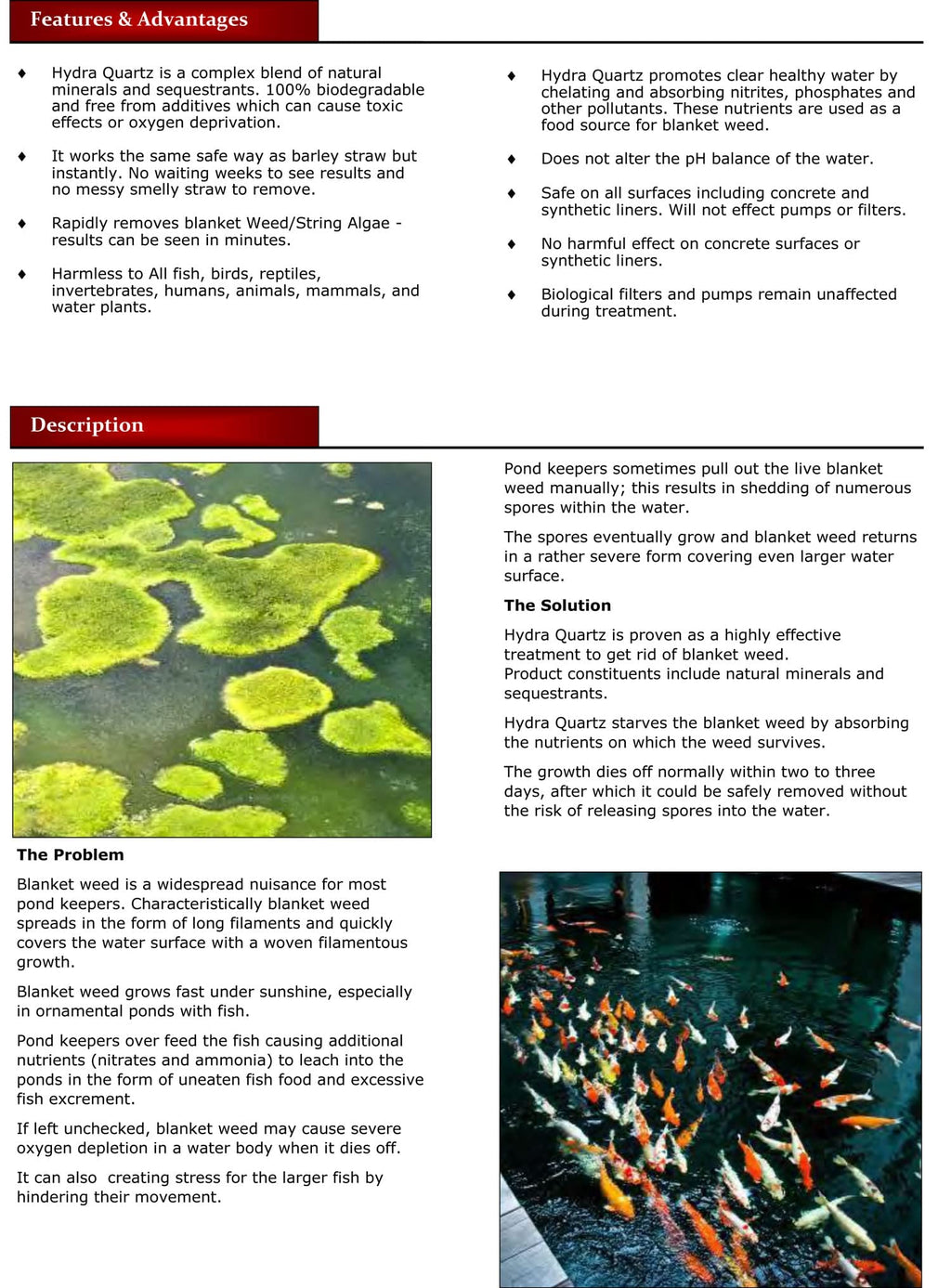 HYDRA Quartz Blanket Weed Pond Treatment - Blanket Weed Killer for Ponds | Removes Harmful Ammonia from Water | 1 Kg Treats Up to 12,500 Liters