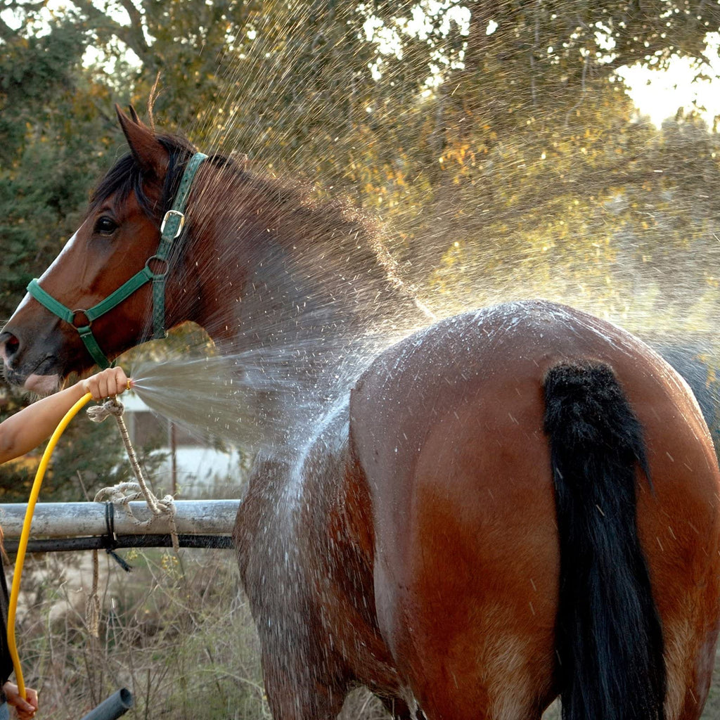 HYDRA MIDAS 1L Horse Herbal Conditioning Skin Shampoo for Smooth, Strong and Glossy Coat, Mane & Tail