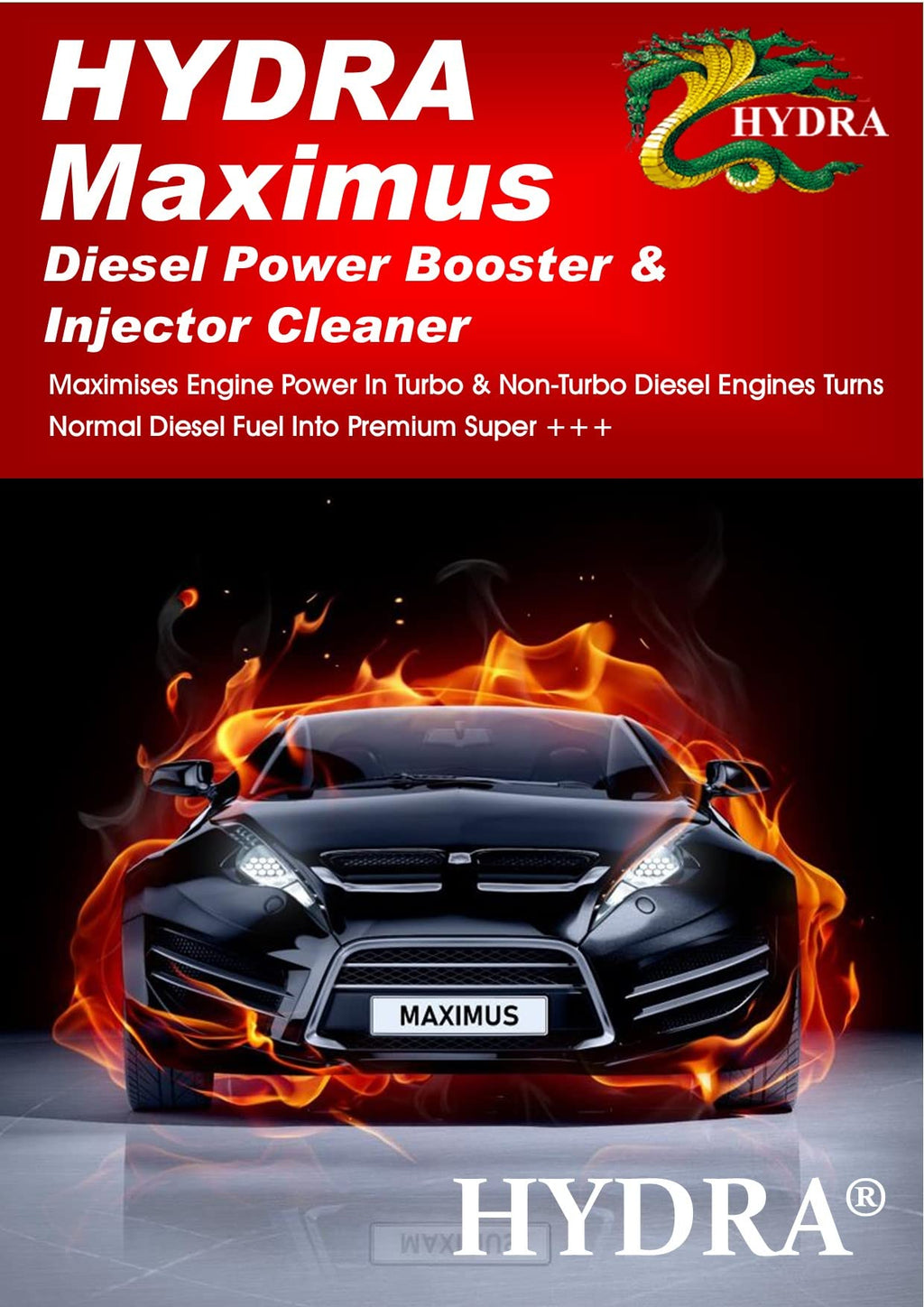 HYDRA MAXIMUS fuel injector cleaner, 250ML Treats Up To 125 litres, for cleaning diesel injectors performance enhancing diesel turbo cleaner additive for diesel fuel EGR valve cleaner diesel engines