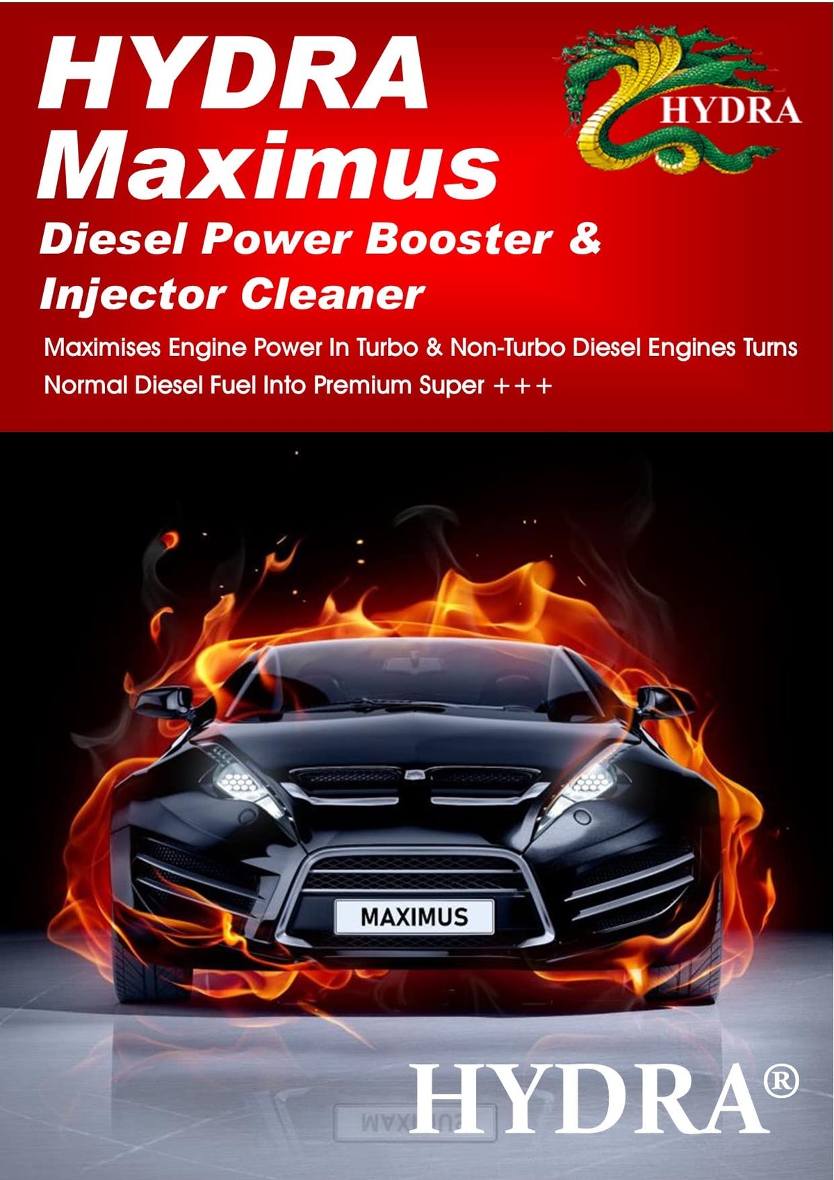 HYDRA MAXIMUS fuel injector cleaner, 250ML Treats Up To 125 litres, for cleaning diesel injectors performance enhancing diesel turbo cleaner additive for diesel fuel EGR valve cleaner diesel engines