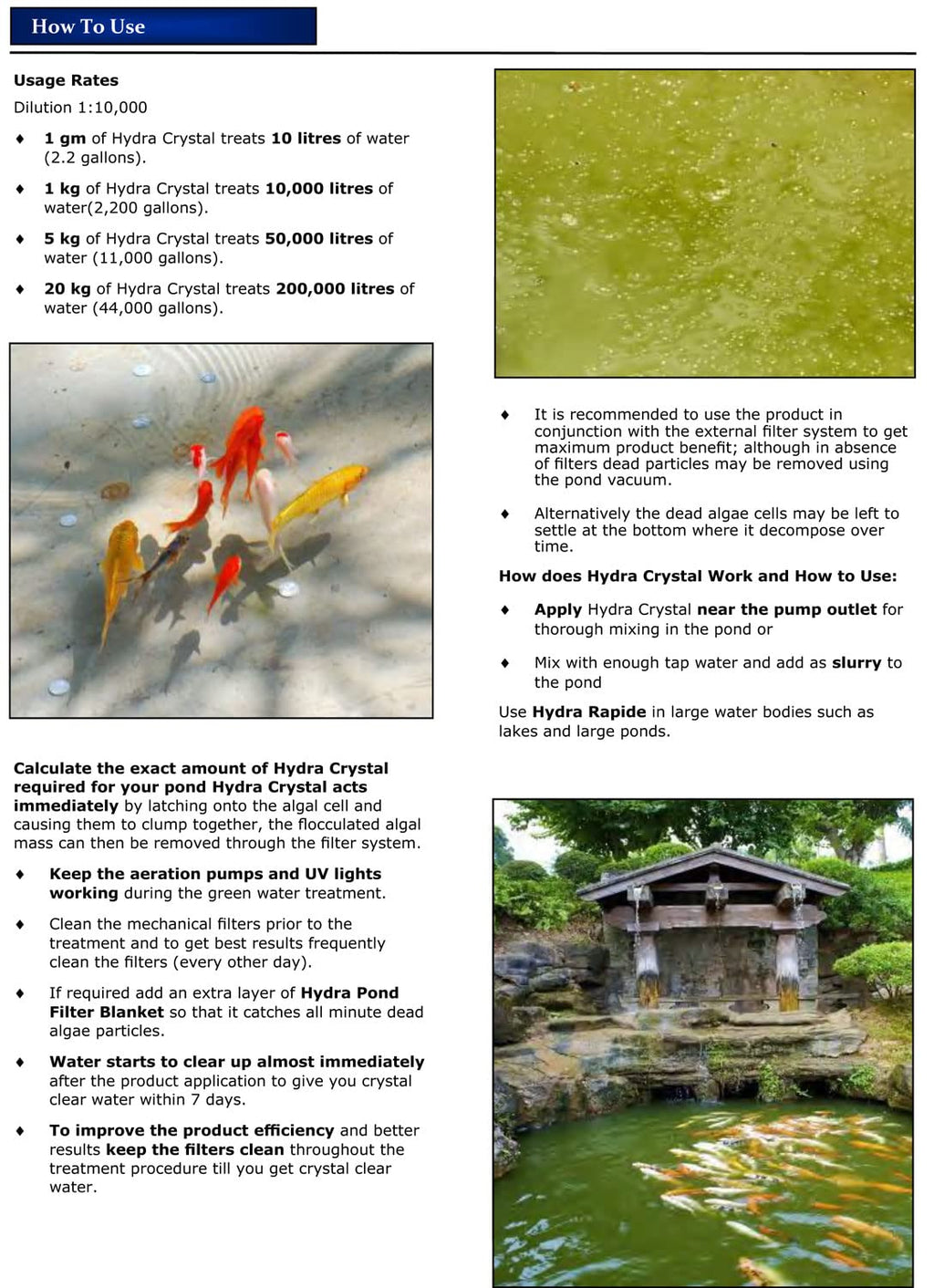 Hydra Crystal Treats UpTo 10,000 litres + Pond Algae Green Water Remover 1Kg