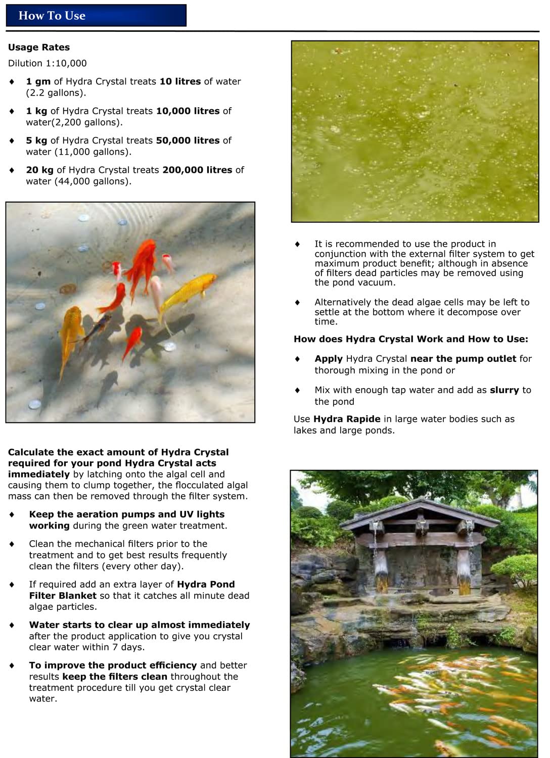 Hydra Crystal Treats UpTo 10,000 litres + Pond Algae Green Water Remover 1Kg