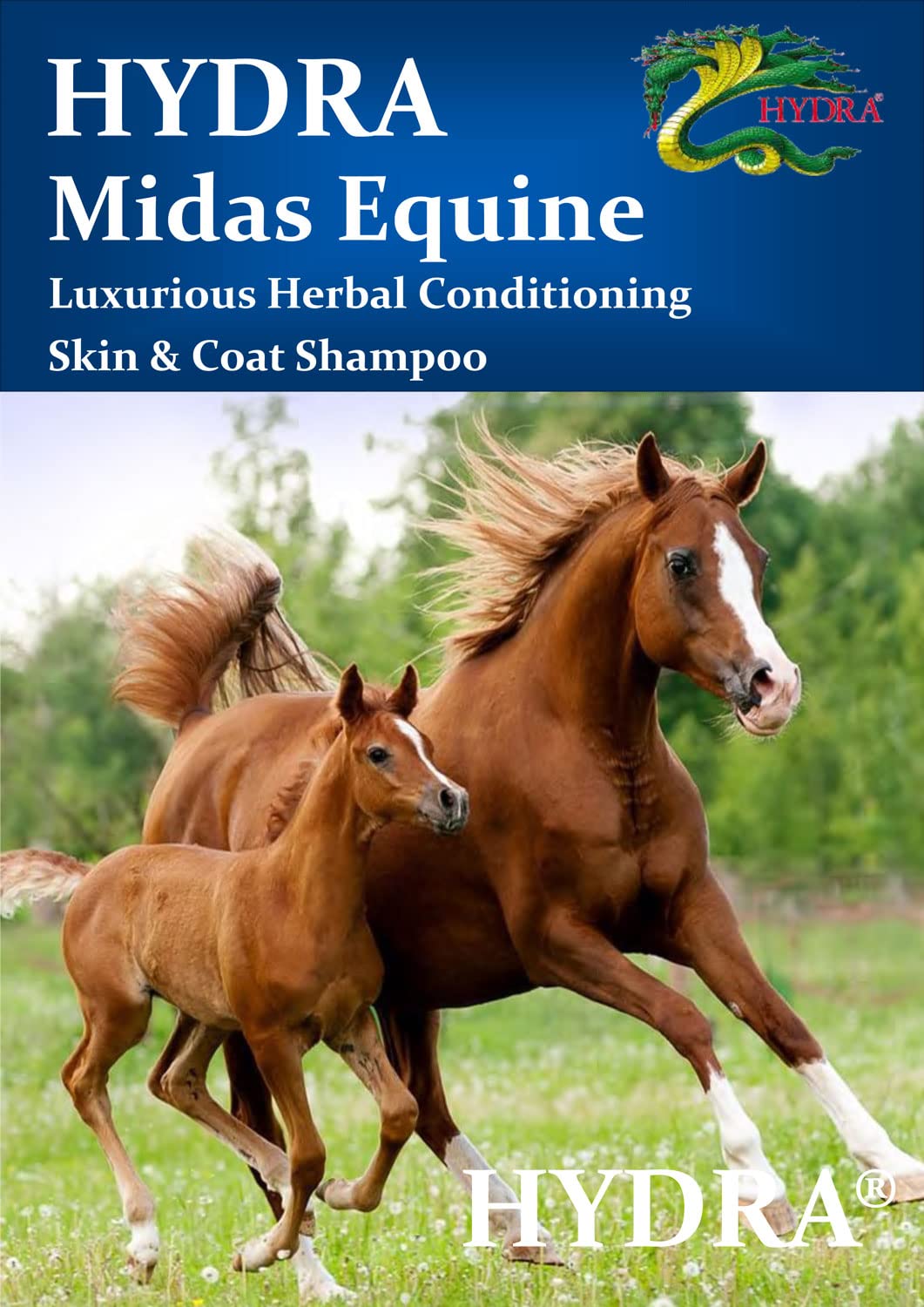 HYDRA MIDAS 1L Horse Herbal Conditioning Skin Shampoo for Smooth, Strong and Glossy Coat, Mane & Tail