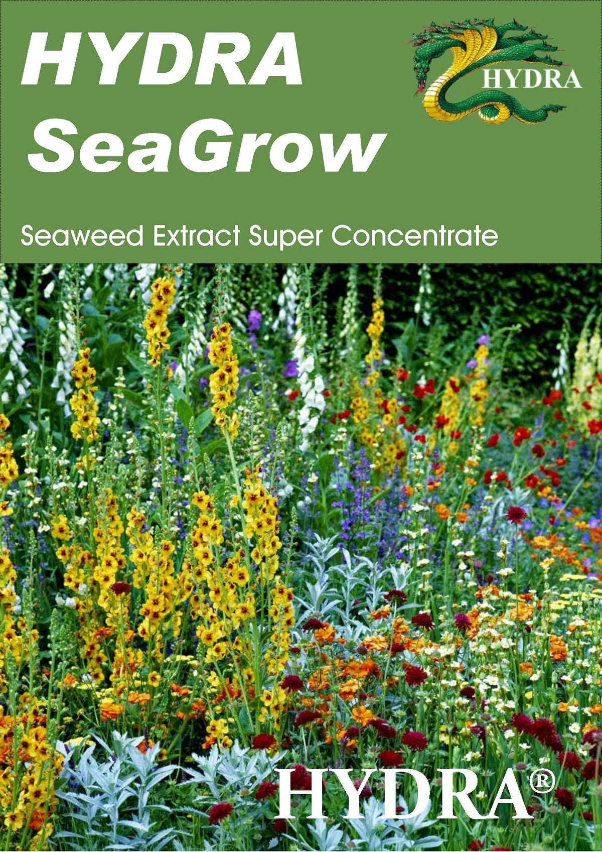 Hydra SeaGrow - Organic Seaweed Extract Concentrate Plant Fertilizer
