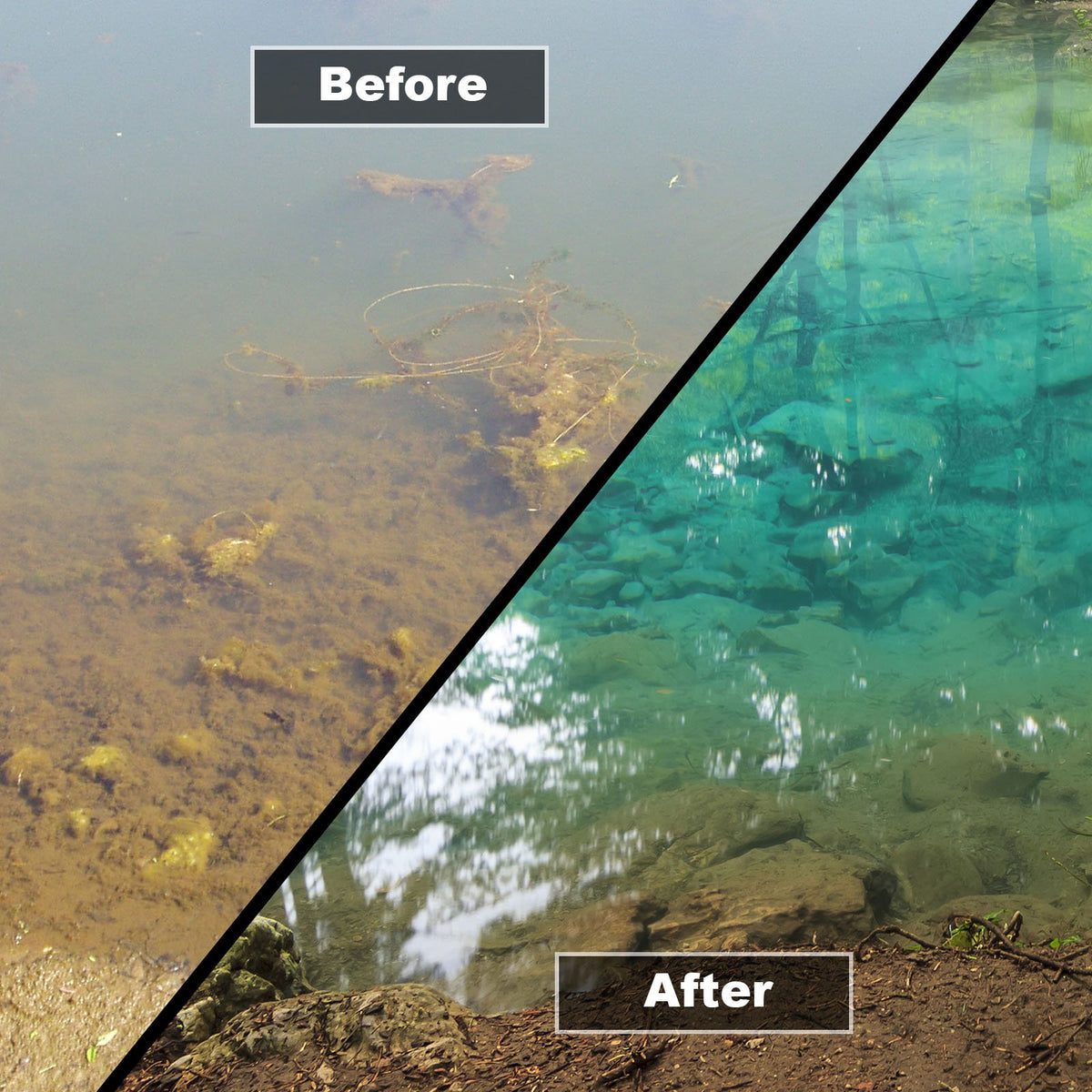 Hydra Pond Silt Remover - All in One Pond Algae Remover & Pond Water Treatment | Pond Sludge Remover Prevents Blanket weed, Algae, Cloudy Water, Slime & Bad Odour | 1KG