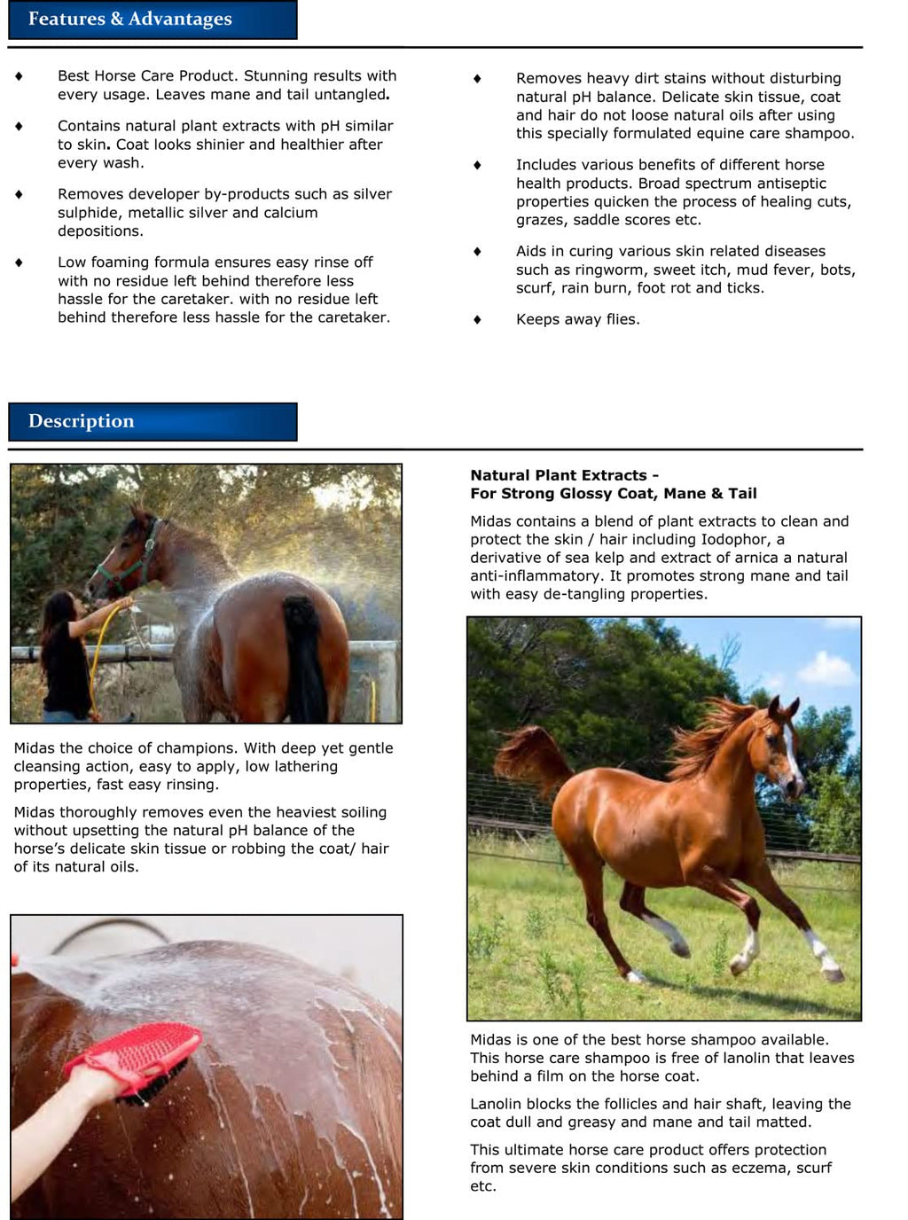 HYDRA MIDAS 1L Horse Herbal Conditioning Skin Shampoo for Smooth, Strong and Glossy Coat, Mane & Tail