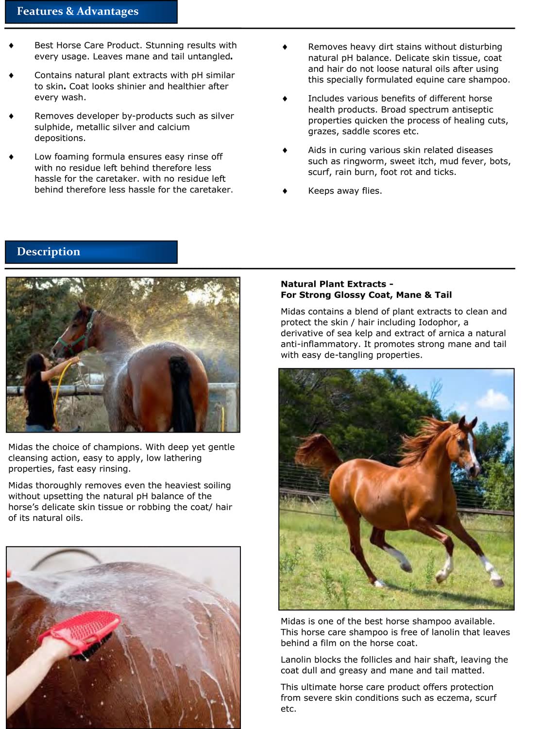 HYDRA MIDAS 1L Horse Herbal Conditioning Skin Shampoo for Smooth, Strong and Glossy Coat, Mane & Tail